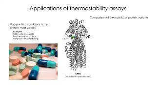 A brief introduction to nanoscale differential scanning fluorimetry nanoDSF [upl. by Ivatts6]