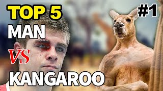 Kangaroo Fights Man  Kangaroo vs Human  Kangaroo Fight  Kangaru 😃 [upl. by Ettevahs832]