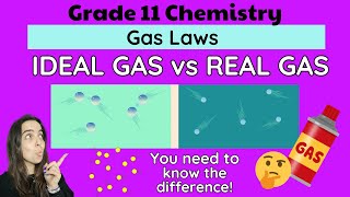 Ideal Gas vs Real Gas Grade 11 Gas Laws Chemistry [upl. by Telfore]