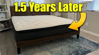 Mattress in a Box Review 2022  After 15 Years [upl. by Gerstein443]