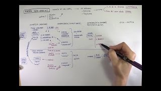 Filosofía de PLATÓN Español [upl. by Eimmat]