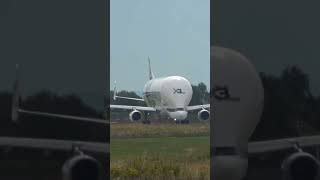 Airbus Beluga XL🐳 [upl. by Darrelle]