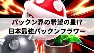 【スマブラSP】いま大注目の最強パックンフラワーが限界を超えた超絶プレーを魅せる【たす パックンフラワー選手紹介好プレー集ハイライト】 [upl. by Ailbert]