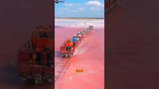 Lake Hillier facts science sciencefacts shorts [upl. by Cannell440]