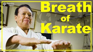 Karate Breathing Technique  a Master Controls everything with breathing  Ageshio Japan [upl. by Gildus851]