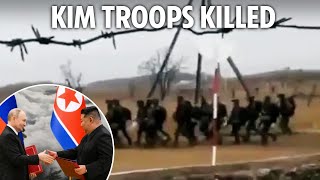 Ukraine wipes out 40 ‘elite’ North Korean soldiers in bloodbath as Putin plan backfires [upl. by Anil227]