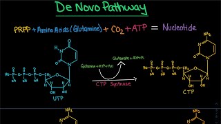 Pyrimidine Synthesis De Novo Pathway CTP dCTP  Biochemistry [upl. by Farley]