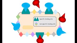 Specific and Nonspecific Binding in a ligand binding assay Drug discovery methods [upl. by Oidacra]