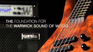 Warwick quotThe Differencequot  Exotic Woods [upl. by Tawsha361]