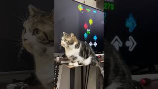 beat strike atomic star storm with cat [upl. by Ciredec]