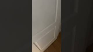 Creaking door sound effect [upl. by Jacy]