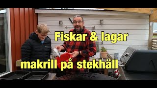 Makrill på stekhällen [upl. by Stoneman]