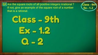 Class  9th Ex  12 Q 2  NUMBER SYSTEM  CBSE NCERT [upl. by Ledniahs]