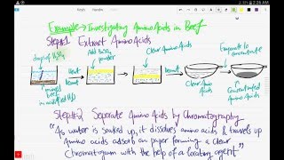 IGCSE ChemistryChapter2Part 2Chromatography [upl. by Cerelia]