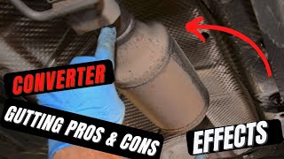 Guide On Removing amp Gutting Your Catalytic Converter  Will Removing Catalytic Converter Harm Engine [upl. by Adnalay]