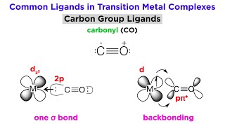 Types of Bonding in Transition Metal Systems and Simple Ligands [upl. by Packston114]