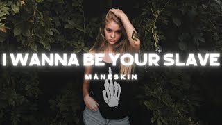 Måneskin  I WANNA BE YOUR SLAVE Lyrics [upl. by Nisbet]