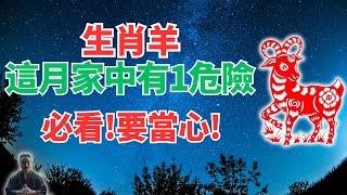 生肖羊！乙亥月11月7日～12月5日，這月家中有狀況，1危險正悄悄來襲，這事千萬別碰！可化解！ 2024年生肖羊運勢 2024年生肖羊運程 2024年屬羊運勢 屬羊運程 [upl. by Anwahsar]