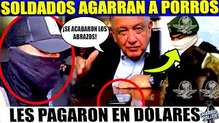 SON PORROS DEL PAN AGARRAN AL PRIMERO ¡SOLDADOS RODEAN PALACIO AMLO DA LA ORDEN ADIOS ABRAZOS [upl. by Gypsie]