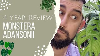 Monstera Adansonii Review  4 Years Later  Hint and Tips on propagation growth and pests [upl. by Derfiniw]