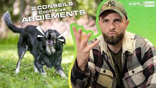 2 CONSEILS contre les ABOIEMENTS de votre chien [upl. by Diego]