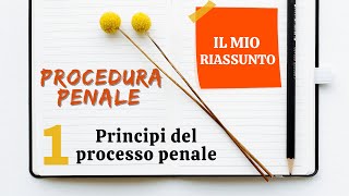 Procedura Penale  Capitolo 1 principi del processo penale [upl. by Llenor]