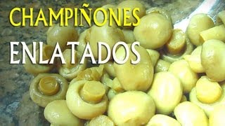 Champiñon  Alimentos con potasio Vitaminas y minerales [upl. by Abshier]