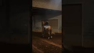 sacrificed way to much to fail saddleseat equestrian saddlebred [upl. by Saxon]