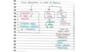 Acute Appendicitis Pathology  Morphology [upl. by Elyssa264]