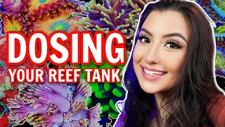 A Simple Guide to Reef Tank Dosing [upl. by Paulsen780]