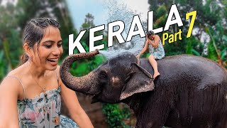 Thekkady Luxury Resort Stay  Periyar Tiger Reserve  Elephant Shower  Kerala Tourism Part 7 [upl. by Erbma]