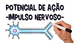 Sistema nervoso Potencial de ação  Impulso Nervoso  Despolarização  Repolarização  Refratário [upl. by Debbra413]