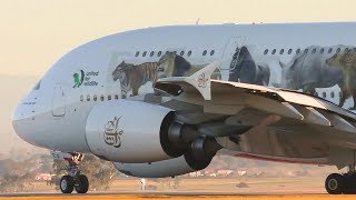 4 AWESOME Boeing 747 amp Airbus A380 SUNRISE Takeoffs amp Landings ● Melbourne Airport Plane Spotting [upl. by Aseen]