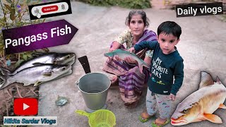 pangas fish recipe  how to pangas fish cutting 🐠🐋🐟souravjoshivlogs7028 NikitaSardarVlogs [upl. by Hewet10]