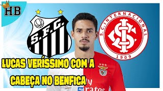 LUCAS VERÍSSIMO  BENFICA ESCLARECIMENTO DE ORLANDO ROLLO [upl. by Refinne]