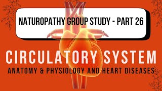 Naturopathy Group Study  PART 26  Circulatory System  Anatomy amp Physiology amp Heart Diseases [upl. by Llenahc]