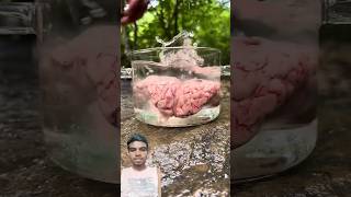 Goat brain recipefood chickenreciepe foodie cooking recipe [upl. by Aihtiekal462]