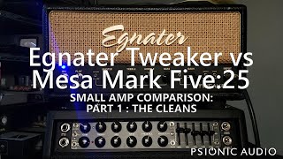 Egnater Tweaker vs Mesa Mark Five25  Small Amp Comparison  Part 1  The Cleans [upl. by Odnalor]