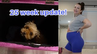 Pregnancy Update amp Vlog  25 weeks [upl. by Jagir]