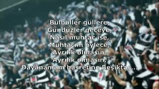 Beşiktaş Tezahüratları  Dayanamam Hasretine [upl. by Ena]