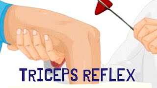 Triceps Deep Tendon Reflex  Deep Tendon Reflexes [upl. by Eeslehc]