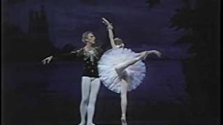 Natalia Makarova amp Ivan Nagy with Itzhak Perlman amp Lynn Harrell  Swan Lake [upl. by Durand]