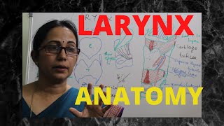 056Larynx Anatomy Part 12 anatomylectures larynx voice [upl. by Matilda]