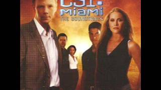 CSI MIAMI Original Theme [upl. by Oir156]