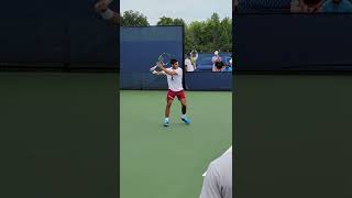 Alcaraz Forehands [upl. by Aelem]