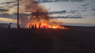 Curso de brigadista florestal Combate a incêndio Novembro 2024 Centro de Formação Salvando Vidas [upl. by Hiltner]