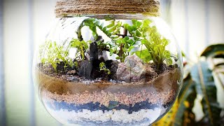 HOW TO MAKE TERRARIUM INSIDE A GLASS DOME  TERRARIUM MAKING TUTORIAL  IN EASY STEPS  AT HOME  4K [upl. by Nevai117]