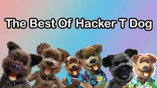 The Best Of Hacker T Dog [upl. by Bautram]