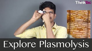 Explore Plasmolysis  ThinkTac  Science Experiment [upl. by Ausoj435]