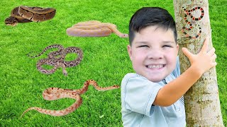 CALEB FOUND a SNAKE on our BUG HUNT [upl. by Nuawaj]